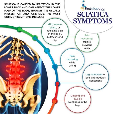 If your lower back is untrained, you cannot perform hard back exercises for a killer back workout. What is Sciatica? What are the Symptoms of Sciatica?