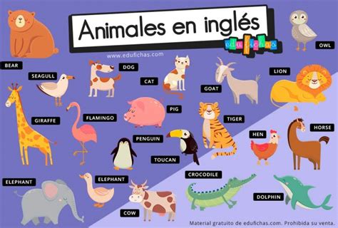 Animales En InglÉs Vocabulario Ejercicios Flashcards