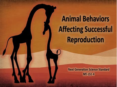 Animal Behaviors Affecting Successful Reproduction Teaching Resources