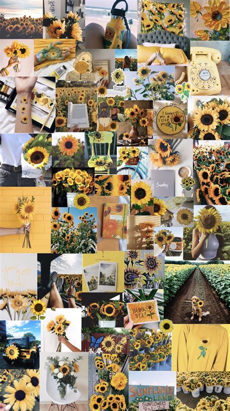 Aesthetic photo collage computer wallpaper … перевести эту страницу. sunflowers 🌻 aesthetic background | Sunflower wallpaper ...
