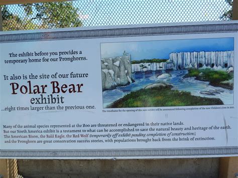 Future Polar Bear Exhibit Sign Zoochat