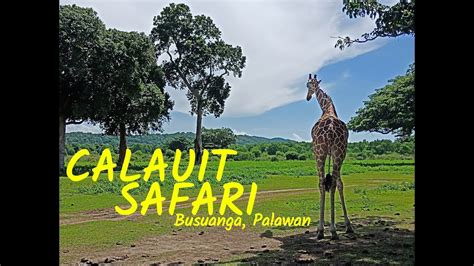 Calauit Safari Park Watch In Hd Youtube