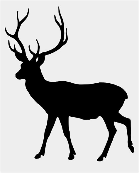 Deer Head Silhouette Png Deer Black And White Cliparts