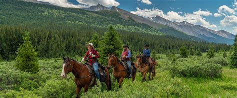 Banff Horseback Rides Banff Trail Riders Official Website