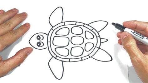 Cómo dibujar Una Tortuga Marina Paso a Paso Muy Fácil 2024 Dibuja Fácil