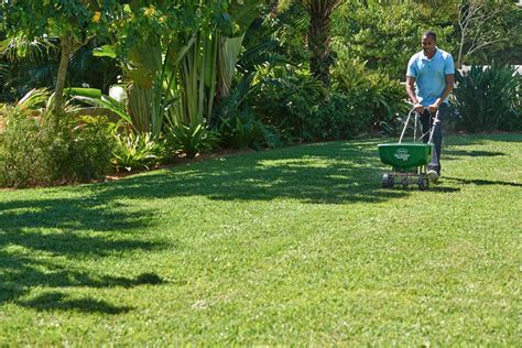 Here, the best fertilizers for your garden's needs. What Is The Best Fertilizer For Garden | Cromalinsupport