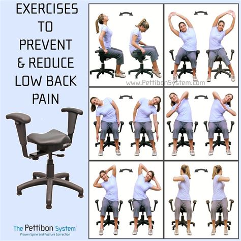 Best Chair For Lower Back And Hip Pain India Supras Column Image Archive