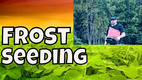 How To Frost Seed A Cloverchicory Food Plot For Deer Super Easy Youtube