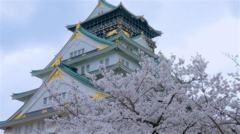 A japanese saying says akiba in the east, 'ponbashi in the west. Cherry Blossoms Osaka castle & Den Den town - YouTube