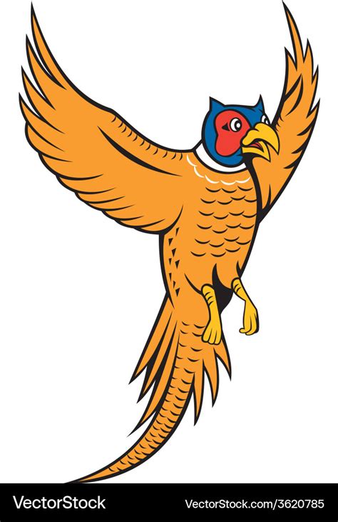 Pheasant Bird Fowl Flying Cartoon Royalty Free Vector Image
