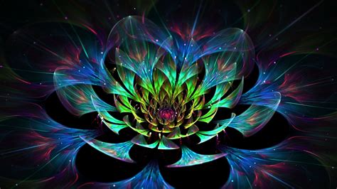 Abstract Lotus Flower