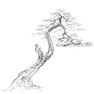 17 Best images about Bonsai Art on Pinterest | Bonsai trees, Ink