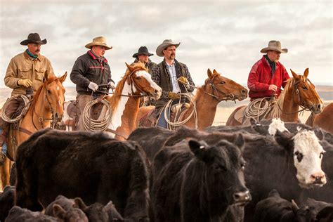 Agriculture Photography By Todd Klassy Montana Blog 20 More Photos