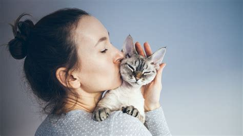 Jak Koty Postrzegaj Ludzi Eksperci To Jak Wi Dziecka Z Rodzicem