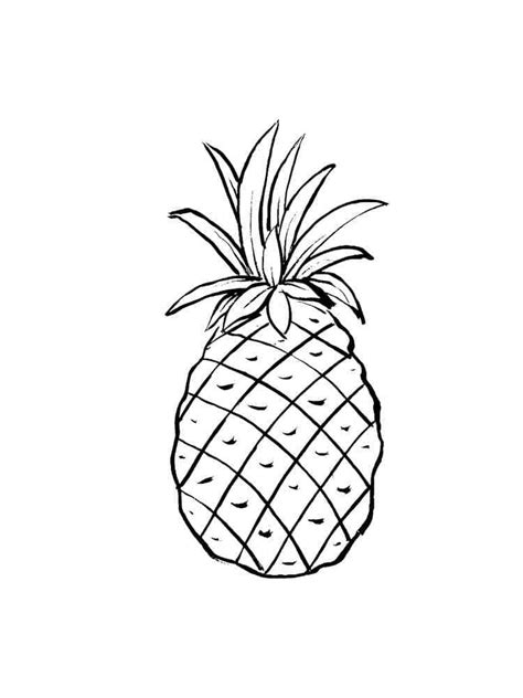 Printable Pineapple Fruit Coloring Page Download Print Or Color