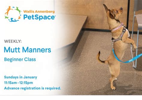 Mutt Manners Beginner Dog Training Los Angeles Dog Event