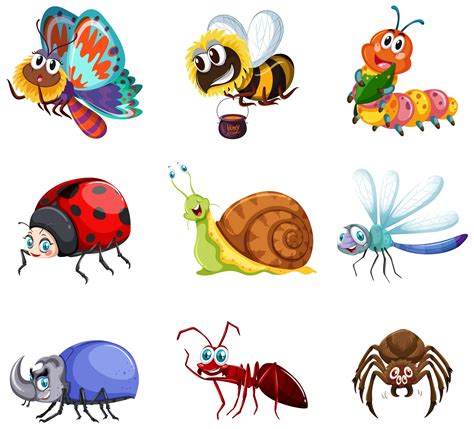 Different Types Of Insects 293897 Vector Art At Vecteezy