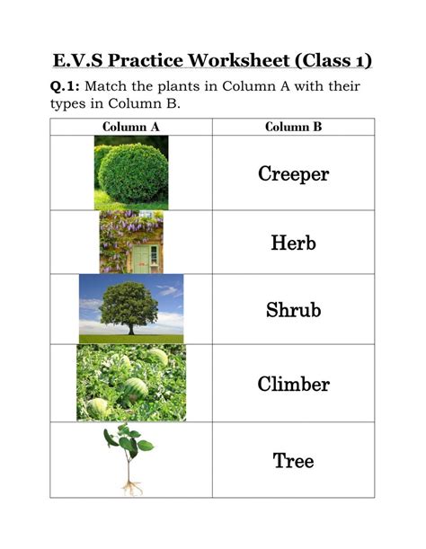 Plants Interactive Exercise For Grade 1 You Can Do The Exercises