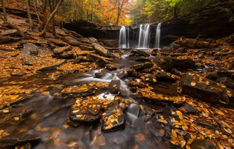 Wallpaper Autumn Forest River Stream Stones Waterfall Pa Fallen