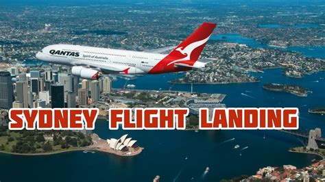 The information board contains the exact local time of departure, actual data about delays and cancellations of flights in real time. Sydney Airport Flight Departure | Sydney Airport Runway ...