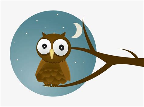 Nighttime Vector Graphics Of An Owl Cartoon Footage Of A Nocturnal