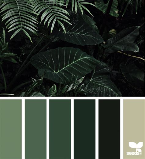 Color Jungle Color Dream Forest Color Palette