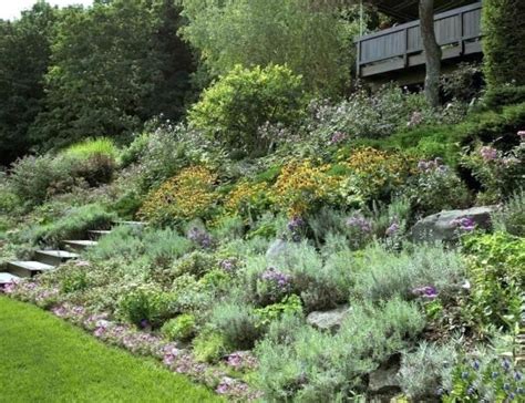 A Hillside Garden With Lots Of Flowers And Plants Growing On The Side