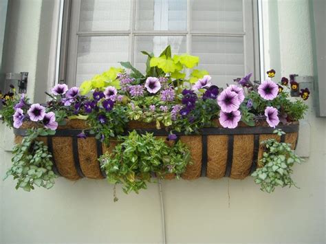 If a window box is installed under a window it is usually supported in place by brackets on the wall window boxes are often used by people who live on the upper floors of flats or apartments, and thus. 8 Tips to Make Your Window Box Flourish and 11 Ideas to ...