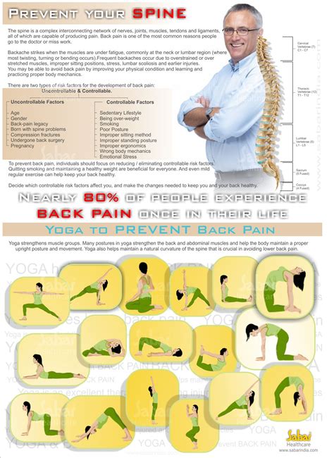 Prevent Back Pain Infographic Prevent Back Pain Back Support
