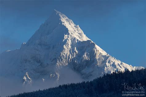 Mount Garibaldi In Winter British Columbia Canada Living Wilderness