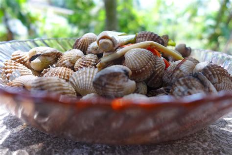 Cara masak kerang ala resto yang superrr enak dan cepat 10 menit ready. relakslah sekejap : cuit apa yang patut: RESEPI KAMPUNG ...