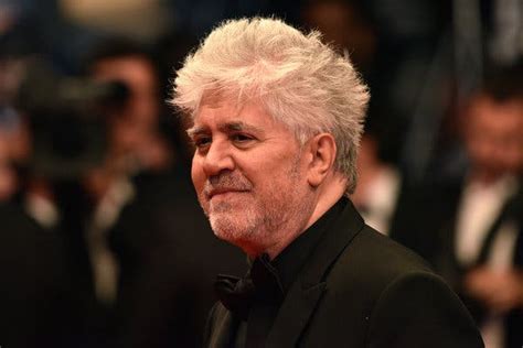 Pedro Almodóvar Explains His Connection To The Panama Papers The New