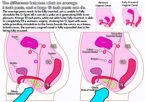 Classic Porn Based Logic A 6 Vs 10 Dick And How Only The Largest