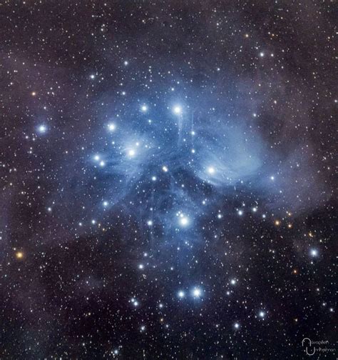 Bbc Earth Bbcearth On Instagram Pleiades Also Known As Seven Sisters Can Be Seen With The