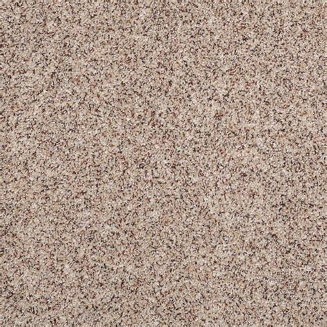 Shaw Sample Keynote Rr Essence Textured Carpet At