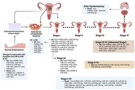 Cancers Free Full Text Circulating And Endometrial Tissue Microrna