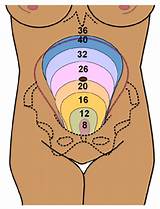 Images of 36 Weeks Pregnant What To Expect At Doctor Appointment