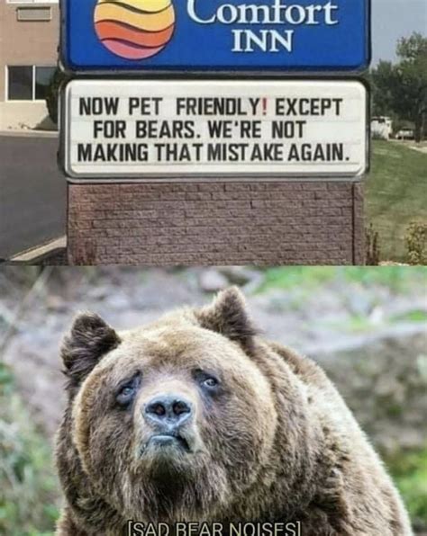 Now Pet Friendly Except For Bears Meme Shut Up And Take My Money
