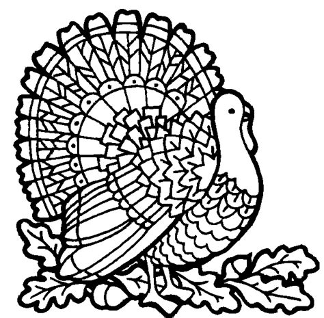 Thanksgiving Coloring Pictures