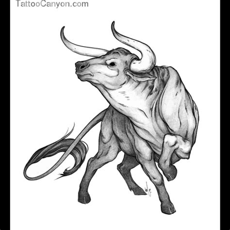 Taurus Drawing Pencil Sketch Colorful Realistic Art Images