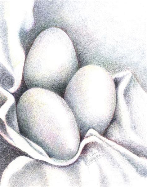 Eggs In Folds Drawing By Lissa Rachelle Fine Art America