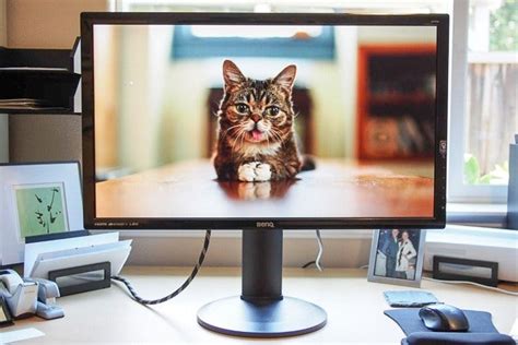 For the average gamer or creative professional, however, finding the right monitor can be a daunting task especially due to the overwhelming number of options available. The Best 27-Inch Monitor: Reviews by Wirecutter