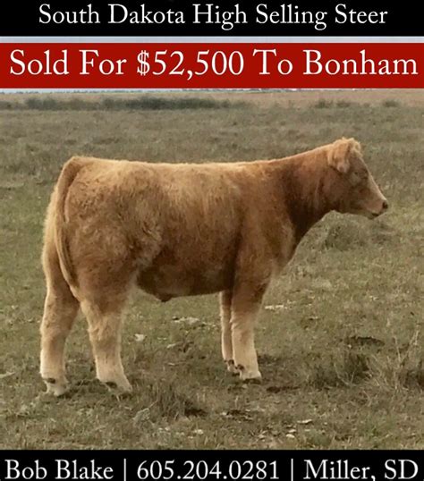 Iowa And South Dakota High Selling Steers Sired By Monopolyclone Matt