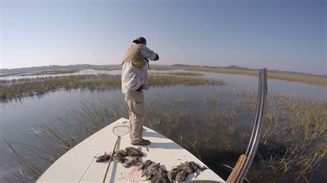 Marsh Hen Hunting In Charleston Youtube