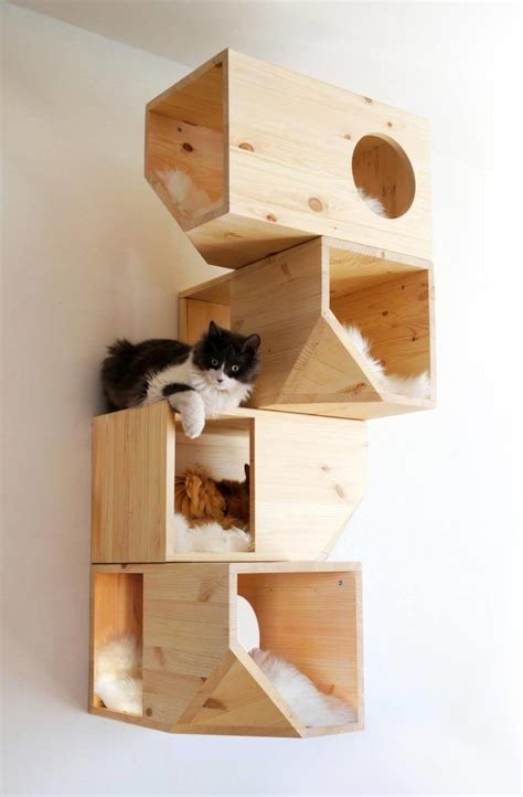 Cat House Design Images Modern Cat Houses Of 2023