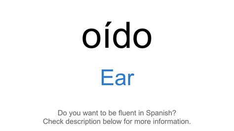 How To Say Ear In Spanish Oído Youtube