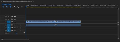 How to Merge Clips in Premiere Pro - Stock Video Secrets