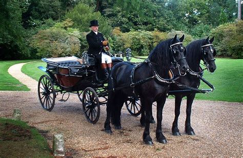 Gallery Of Horse Drawn Carriage Rides In Windsor Great Park Ascot