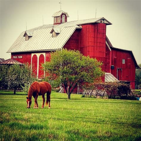 Beutiful Pics Of Barns And Horses Equestrian Buildings And Beautiful
