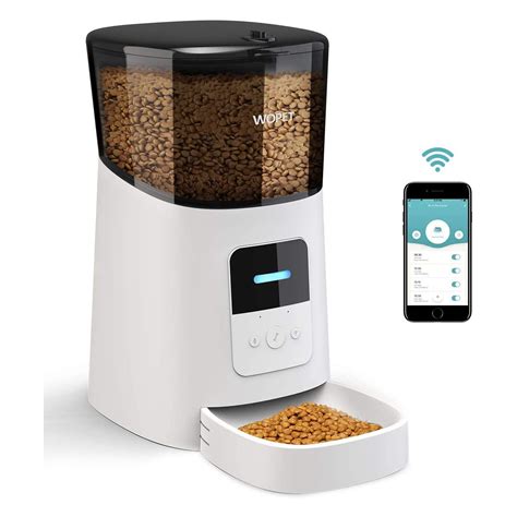The Best Automatic Cat Feeders Daily Paws
